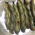 こたろろ98's cooksnap of when they made 茹でない！簡単！そら豆☆黒焼き☆.