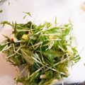 ほっしーサザエ's cooksnap of when they made 私の水菜とりんごのサラダ.
