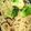 クックEGIVJ7☆'s cooksnap of when they made ブロッコリーと塩昆布のパスタ.