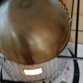 チコリママ's cooksnap of when they made ストーブで　おいしい焼き芋作りましょ♬♪.