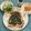 mayurich's cooksnap of when they made すりごまトースト.