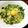 よよっち♪'s cooksnap of when they made サッポロ一番塩ラーメンdeごま油香る釜玉.