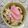SUNMOONMOM's cooksnap of when they made 岩下の新生姜の炊き込みご飯.
