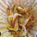☆ちぃ's cooksnap of when they made 桜えびチーズパリパリ.