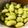 のんのんSTELLA's cooksnap of when they made 青大豆のからし醤油あえ.