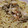 dashman's cooksnap of when they made 小エビとしめじの和風パスタ.