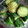 ゆずカフェ's cooksnap of when they made ダシダで簡単☆あっさりやみつききゅうり♫.