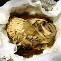 SAsunny's cooksnap of when they made 秋鮭ときのこのホイル焼き.