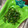 クックBVWH26☆'s cooksnap of when they made 早っ旨っ、なんと１分✨ピーマン塩こんぶ.