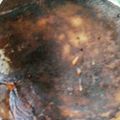 かに＠薄味無化調's cooksnap of when they made 小麦粉 と 重曹でも！ ホットケーキ風.
