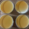 ウサギ組っち's cooksnap of when they made 豆乳パンナコッタ♪メイプルかけ♪.