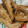 *つらら*'s cooksnap of when they made はたはたの唐揚げ.