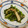 youtapapa's cooksnap of when they made 春菊ときのこの和え物.