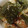クックN3XI88☆'s cooksnap of when they made ちくわのマヨネーズ炒め ごまのり味.