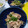 イロピリン's cooksnap of when they made 大根、蒟蒻、豚肉の煮物。.