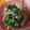 ちゃろちゃお's cooksnap of when they made 菜の花とささみの辛子マヨネーズ和え。.