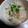 あーこ2929's cooksnap of when they made カニ缶で簡単炊き込みご飯.