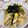 クックC8ZBEG☆'s cooksnap of when they made だしの旨みがたっぷり＊五目ちらし寿司.