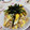 クックC8ZBEG☆'s cooksnap of when they made だしの旨みがたっぷり＊五目ちらし寿司.