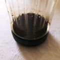 くむちん's cooksnap of when they made 手作り☆簡単♪本格的めんつゆ.