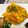 食い意地がすごい's cooksnap of when they made かぼちゃサラダ　玉葱枝豆入り.