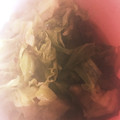 ☆しいたんママ☆'s cooksnap of when they made 茄子と野菜の煮びたし.
