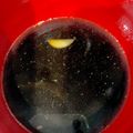 ぐっちぐっちぐっち's cooksnap of when they made にんにく醤油の和風ステーキソース.