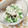 ともこキッチン's cooksnap of when they made 菜の花の白和え.