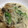 クックXJAIME☆'s cooksnap of when they made タラときのこのクリームソース　白身魚鮭も.