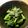 とものりのもと's cooksnap of when they made 超簡単菜の花のおひたし.