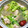 クックY08S17☆'s cooksnap of when they made 簡単☆鶏とキャベツの白だし鍋.