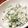 ちゃちゃまる26's cooksnap of when they made なにこれ簡単！即席わかめご飯♪.