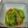 りいまあ's cooksnap of when they made 小松菜とえのき茸の煮浸し.