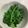 te_sanae's cooksnap of when they made めんつゆで☆ほうれん草のおひたし.