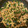 mkmrkm0804's cooksnap of when they made 蕪の葉と油揚げの具ふりかけ！.