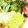 ★むさ's cooksnap of when they made お弁当に♫もやしの卵焼き.