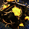 喜八＆Hacchi's cooksnap of when they made もやしと卵の中華炒め with わかめ.
