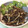 しーてっぷ's cooksnap of when they made *サクサクたつくりの黒糖かりんとう*.