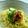 もこりこ's cooksnap of when they made お茶漬け風さっぱり胡瓜冷やしラーメン梅味.