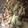 クック7SEFQR☆'s cooksnap of when they made 白菜ときのこの炒め物（さば缶入り）.