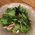 なす58's cooksnap of when they made ベビーリーフと生ハムサラダ.