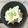 おはなすき's cooksnap of when they made 長芋千切りリメイク☆シャキシャキ長芋納豆.