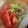 クックS3JNN2☆'s cooksnap of when they made 長芋とキャベツのサラダ.