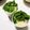 クックYFJTIG☆'s cooksnap of when they made たまご4個と出汁600ちゃわんむし.