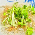 my_pace's cooksnap of when they made 【副菜】大根おろしのポン酢和え.