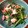ちさ＠元駐在員's cooksnap of when they made 春菊とカニかまのうま塩サラダ【作り置き】.