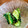 くーちなし's cooksnap of when they made あと一品＊簡単！叩ききゅうりの塩昆布和え.