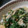 ふぁんたにゃん's cooksnap of when they made 春菊の卵とじ.
