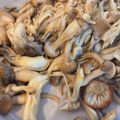 satukoufuf's cooksnap of when they made きのこの和風マリネ.