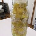 クックYFJTIG☆'s cooksnap of when they made れもんシロップ.